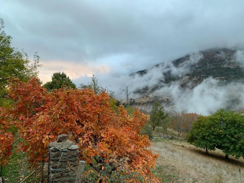 Cortijo Rural El Albercon - Capileira - Alpujarra Rural Villa Exterior photo